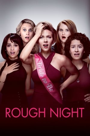 Rough Night (2017) Hindi Dual Audio 400MB