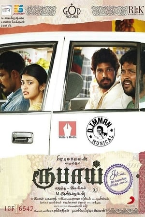 Rubaai (2017) Hindi Dual Audio 400MB