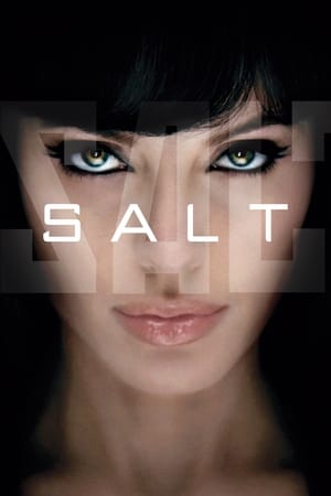 Salt (2010) Hindi Dual Audio 300MB