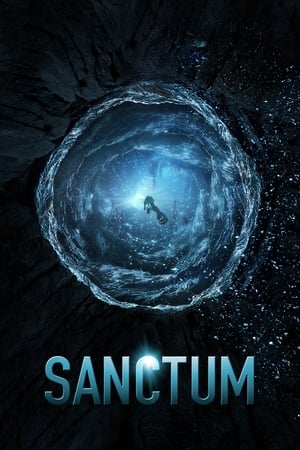 Sanctum (2011) Hindi Dual Audio 300MB