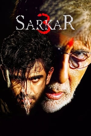 Sarkar 3 2017 350MB Full Movie Download