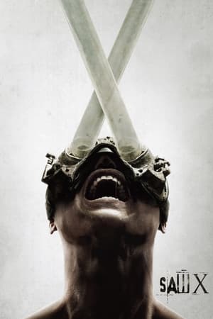 Saw X 2023 Hindi Dual Audio – 480p