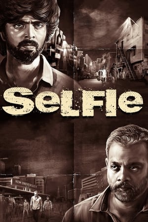 Selfie (2022) [Hindi + Tamil] – 480p – 1080p