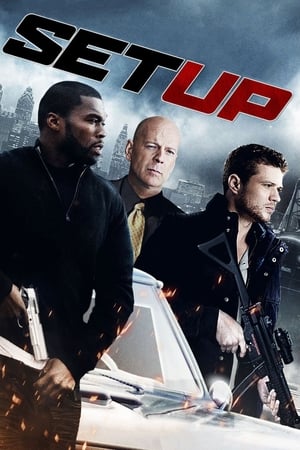 Setup (2011) Hindi Dual Audio 350MB