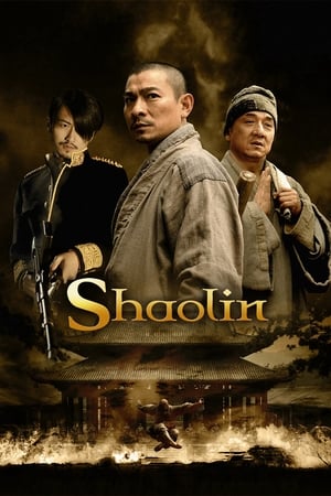 Shaolin (2011) Hindi Dual Audio 400MB
