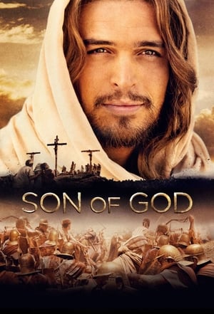 Son of God 2014 Hindi Dual Audio [980MB]