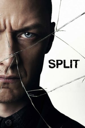 Split (2017) Full Movie Download [HD-] 450MB