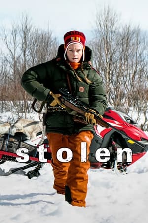Stolen (2024) Hindi Dual Audio – 720p – 480p