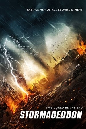 Stormageddon (2015) Hindi Dual Audio 290MB