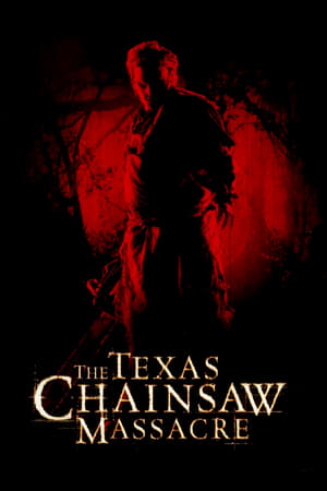 Texas Chainsaw Massacre 2013 Hindi Dual Audio 300MB