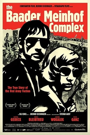 The Baader Meinhof Complex (2008) Hindi Dual Audio 500MB