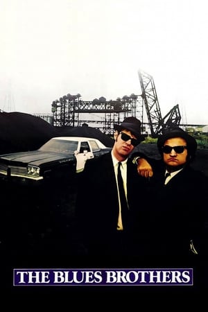 The Blues Brothers (1980) Hindi Dual Audio [1.3GB] ESubs