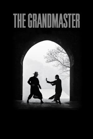 The Grandmaster (2013) Hindi Dual Audio 350MB ESubs