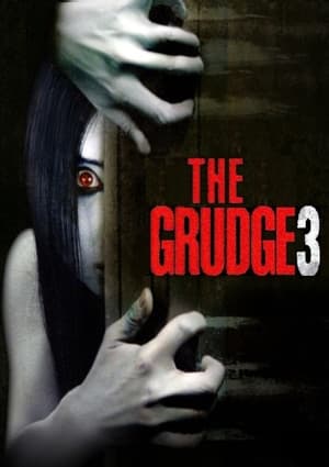 The Grudge 3 2009 Hindi Dual Audio [890MB]