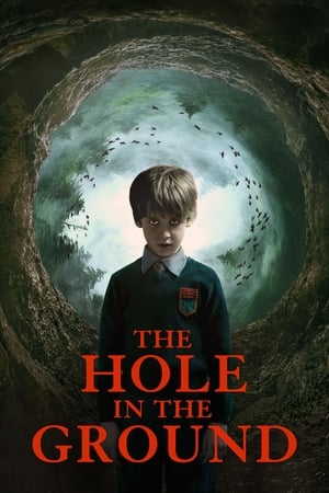 The Hole in the Ground 2019 Hindi Dual Audio 300MB