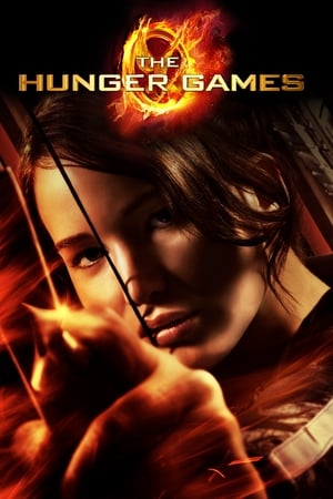 The Hunger Games 2012 Hindi Dual Audio 470MB