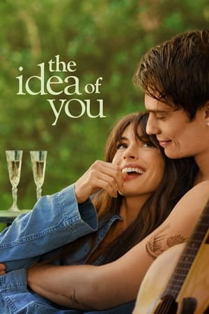 The Idea of You 2024 Hindi Dual Audio – 720p – 480p