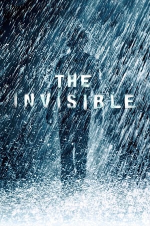 The Invisible 2007 Hindi Dual Audio [150MB]