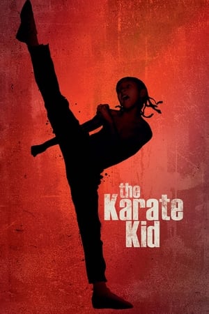 The Karate Kid 2010 Hindi Dubbed 1GB Movie