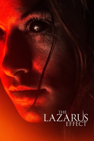 The Lazarus Effect (2015) Hindi Dual Audio [800MB]