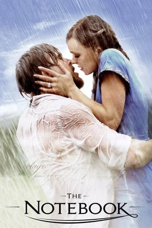 The Notebook 2004 Dual Audio Hindi Full Movie - 1GB