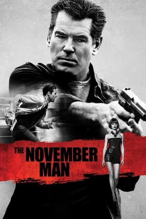 The November Man 2014 Dual Audio [Hindi – English] – 720p – 1080p