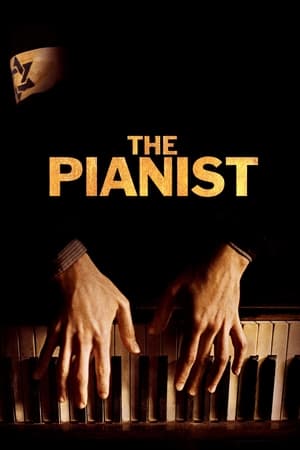 The Pianist (2002) Hindi Dual Audio [1GB]