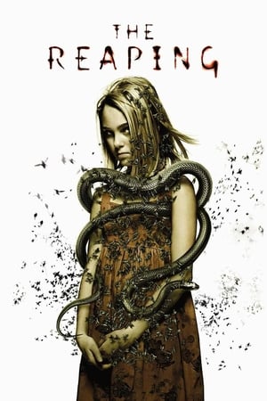 The Reaping (2007) Hindi Dual Audio 340MB