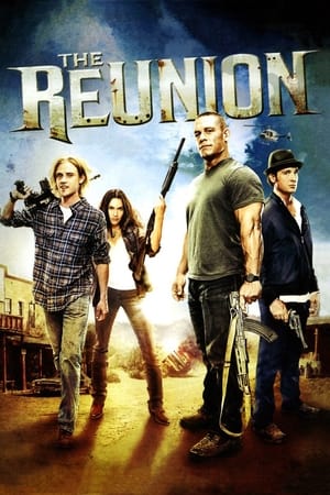 The Reunion (2011) Hindi Dual Audio [900MB]
