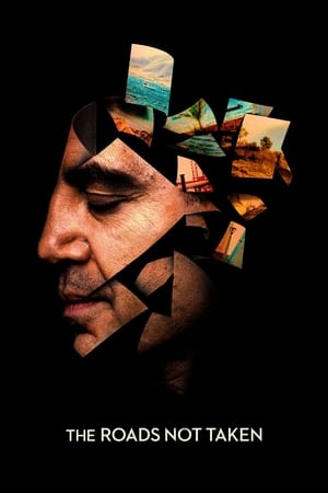 The Roads Not Taken (2020) Hindi Dual Audio – 480p