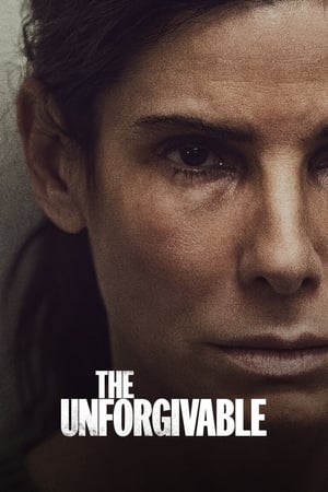 The Unforgivable (2021) Hindi Dual Audio 380MB