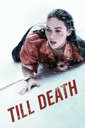Till Death (2021) Hindi Dual Audio 350MB