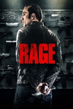 Tokarev (Rage) 2014 Hindi Dual Audio [850MB]