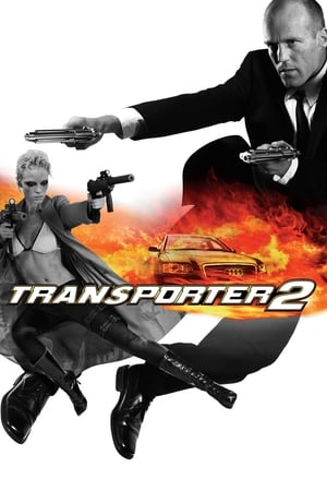 Transporter 2 (2005) Hindi Dual Audio 300MB