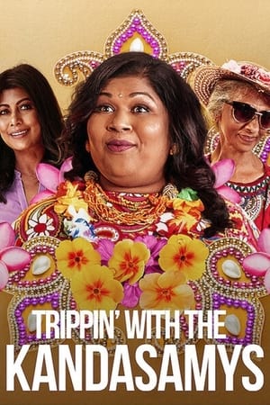 Trippin with the Kandasamys 2021 Hindi Dual Audio [850MB]