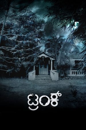 Trunk (2018) (Hindi – Kannada) Dual Audio 450MB