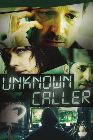 Unknown Caller 2014 Hindi Dual Audio 300MB ESubs