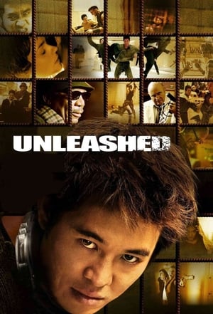 Unleashed (2005) Hindi Dual Audio 360MB