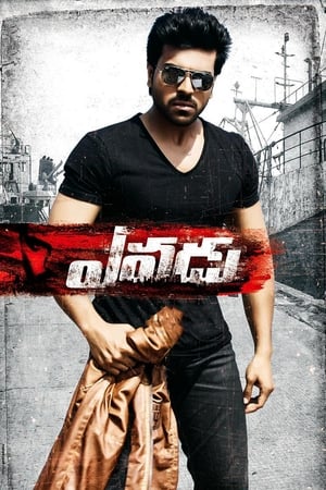 Yevadu (2014) (Hindi -Telugu) Dual Audio [1.4GB]