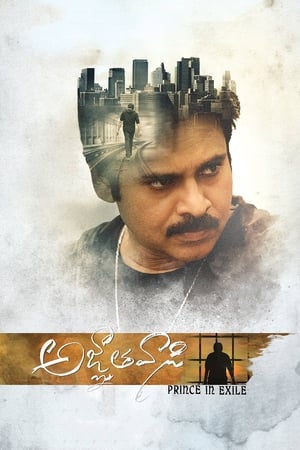 Yevadu 3 (Agnyaathavaasi) 2018 Dual Audio Hindi 450MB