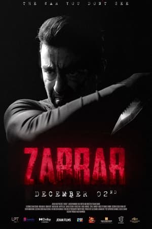Zarrar (2022) Urdu Movie Pre- – 480p