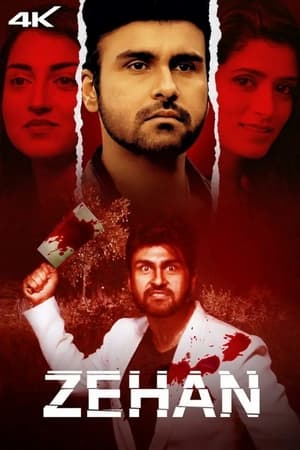 Zehan 2024 Hindi – 480p